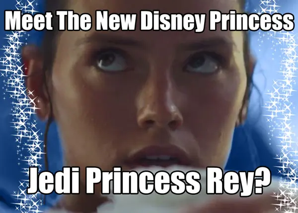 Meet the new Disney Princess
